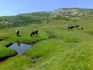 villa-ugliastru-Les Pozzines au val d'Ese.jpg