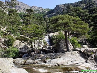 villa-ugliastru-Foret Vizzavona et Cascade des anglais balades.jpg